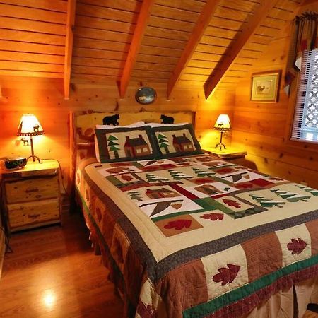 Cute Updated Mountain Cabin Fireplace #3 ヘレン エクステリア 写真