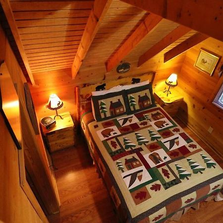 Cute Updated Mountain Cabin Fireplace #3 ヘレン エクステリア 写真