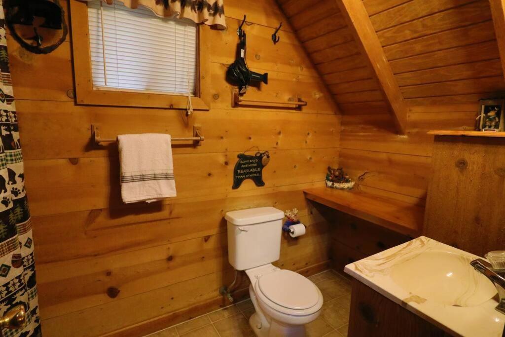 Cute Updated Mountain Cabin Fireplace #3 ヘレン エクステリア 写真