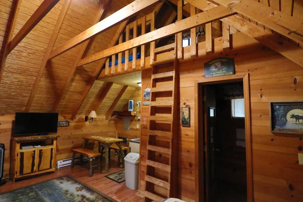 Cute Updated Mountain Cabin Fireplace #3 ヘレン エクステリア 写真