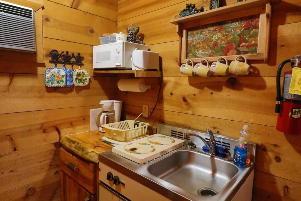 Cute Updated Mountain Cabin Fireplace #3 ヘレン エクステリア 写真