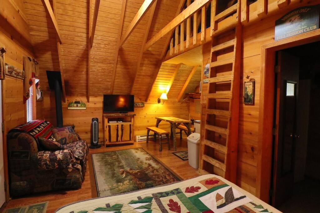 Cute Updated Mountain Cabin Fireplace #3 ヘレン エクステリア 写真